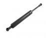 Gasdruckfeder Gas Spring:211 980 04 64