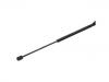 Gasdruckfeder Gas Spring:1651 601