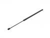 Gasdruckfeder Gas Spring:8731.P0