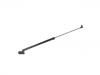 Gasdruckfeder Gas Spring:63269-AJ000