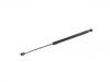 Gasdruckfeder Gas Spring:90 45 200 01R