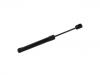 Gasdruckfeder Gas Spring:51 76 952