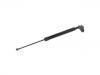 Gasdruckfeder Gas Spring:68950-80108