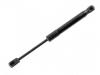 Gasdruckfeder Gas Spring:51 21 7 271 304