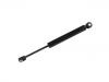 Gasdruckfeder Gas Spring:1323 677