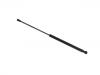 Gasdruckfeder Gas Spring:53440-0W200