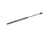 Gasdruckfeder Gas Spring:81161-4Z000