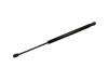 Gasdruckfeder Gas Spring:81913100