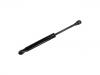 Gasdruckfeder Gas Spring:69767900