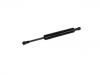 Gasdruckfeder Gas Spring:5008938AC