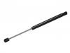 Gasdruckfeder Gas Spring:92161990