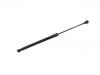 Gasdruckfeder Gas Spring:81770-G4000