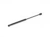 Gasdruckfeder Gas Spring:13 379 051