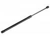 Gasdruckfeder Gas Spring:81850-77R00