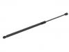 Gasdruckfeder Gas Spring:81771-B1010