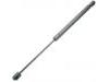 Gasdruckfeder Gas Spring:51736746